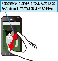 2本の指を合わせてつまんだ状態から画面上で広げるような動作　　