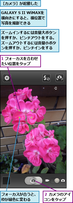1 フォーカスを合わせたい位置をタップ　　,GALAXY S II WiMAXを横向きにすると、横位置で　　写真を撮影できる,ズームインするには音量大ボタンを押すか、ピンチアウトをする。ズームアウトするには音量小ボタンを押すか、ピンチインをする,フォーカスが合うと、枠が緑色に変わる　　,２ カメラのアイコンをタップ　　,［カメラ］が起動した