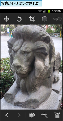 写真がトリミングされた