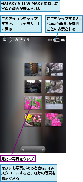 GALAXY S II WiMAXで撮影した   写真や動画が表示された　　           ,ここをタップすると、写真が撮影した期間 ごとに表示される,このアイコンをタップ  すると、［ギャラリー］ に戻る,ほかにも写真があるときは、右にスクロールすると、ほかの写真を表示できる,見たい写真をタップ