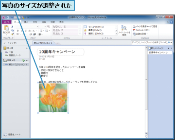 写真のサイズが調整された