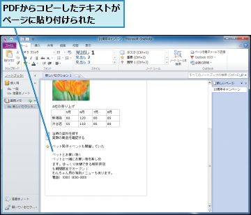 PDFからコピーしたテキストがページに貼り付けられた　　