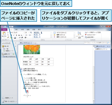 OneNoteのウィンドウを元に戻しておく,ファイルのコピーがページに挿入された,ファイルをダブルクリックすると、アプリケーションが起動してファイルが開く