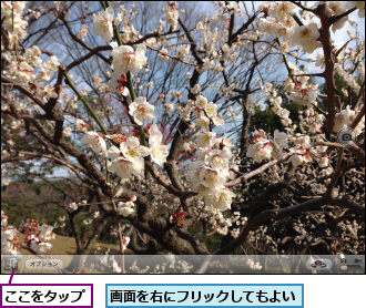 ここをタップ,画面を右にフリックしてもよい