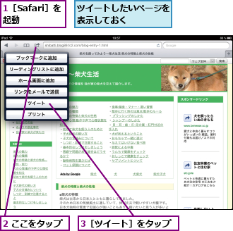 1［Safari］を起動　　,2 ここをタップ,3［ツイート］をタップ,ツイートしたいページを表示しておく　　　　