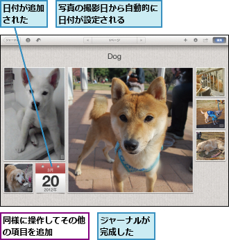 ジャーナルが完成した　　,写真の撮影日から自動的に日付が設定される　　　,同様に操作してその他の項目を追加　　　,日付が追加された　　