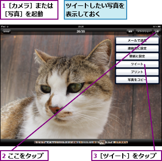 1［カメラ］または［写真］を起動　　,2 ここをタップ,3［ツイート］をタップ,ツイートしたい写真を表示しておく　　　