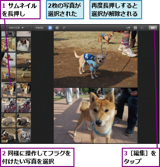1 サムネイルを長押し　　,2 同様に操作してフラグを付けたい写真を選択　　　　,2枚の写真が選択された,3［編集］をタップ　　,再度長押しすると選択が解除される
