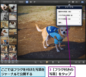 3［フラグ付きの写真］をタップ,ここではフラグを付けた写真をジャーナルで公開する　　　