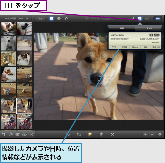 撮影したカメラや日時、位置情報などが表示される　　,［i］をタップ