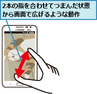 2本の指を合わせてつまんだ状態から画面で広げるような動作      