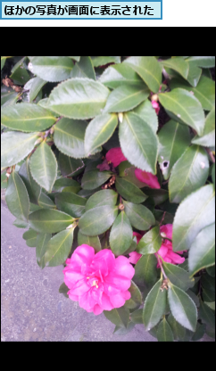 ほかの写真が画面に表示された