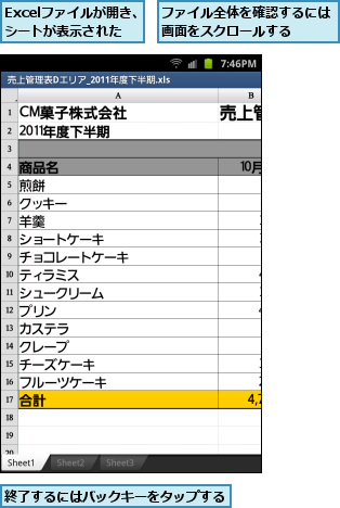 Excelファイルが開き、シートが表示された,ファイル全体を確認するには画面をスクロールする  ,終了するにはバックキーをタップする