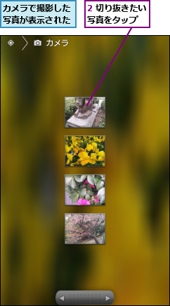 2 切り抜きたい写真をタップ　　,カメラで撮影した写真が表示された