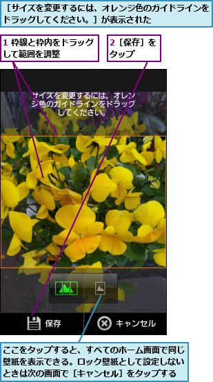 1 枠線と枠内をドラッグして範囲を調整    ,2［保存］をタップ  ,ここをタップすると、すべてのホーム画面で同じ壁紙を表示できる。ロック壁紙として設定しないときは次の画面で［キャンセル］をタップする,［サイズを変更するには、オレンジ色のガイドラインをドラッグしてください。］が表示された      