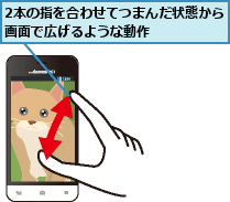 2本の指を合わせてつまんだ状態から画面で広げるような動作 　　　　　　　　　　　　　　 