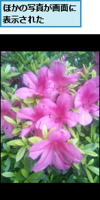 ほかの写真が画面に表示された　　　