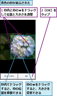 1 枠内と枠の◆をドラッグして位置と大きさを調整　　,2［OK］をタップ,枠の◆をドラッグすると、大きさを変更できる,枠内でドラッグすると、枠の位置を移動できる,青色の枠が表示された