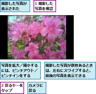 1 撮影した写真を確認,2 戻るキーをタップ　　　　,カメラに戻る　　,写真を拡大／縮小するには、ピンチアウト／ピンチインをする,撮影した写真が数枚あるときは、左右にスワイプすると、前後の写真を表示できる,撮影した写真が表示された　　