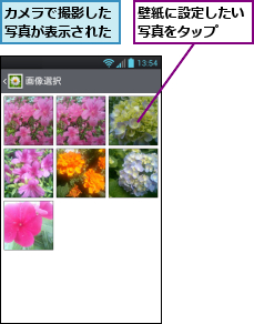 カメラで撮影した写真が表示された,壁紙に設定したい写真をタップ　　