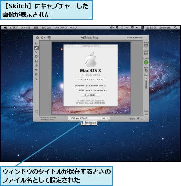 ウィンドウのタイトルが保存するときのファイル名として設定された    ,［Skitch］にキャプチャーした画像が表示された　　