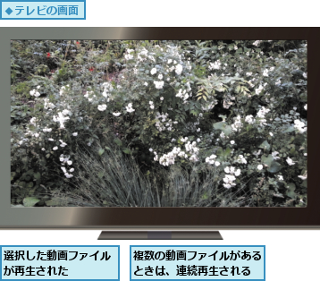 複数の動画ファイルがあるときは、連続再生される,選択した動画ファイルが再生された    