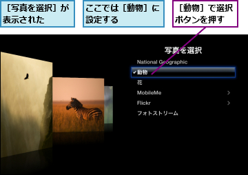 ここでは［動物］に設定する　　　　,［写真を選択］が表示された　　,［動物］で選択ボタンを押す