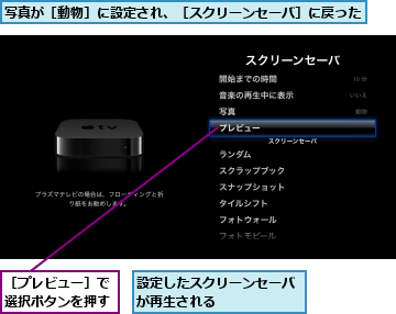 写真が［動物］に設定され、［スクリーンセーバ］に戻った,設定したスクリーンセーバが再生される　　　　　,［プレビュー］で選択ボタンを押す