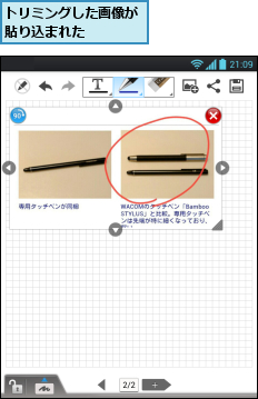 トリミングした画像が貼り込まれた    