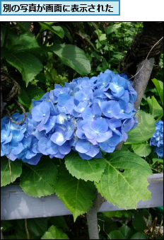 別の写真が画面に表示された