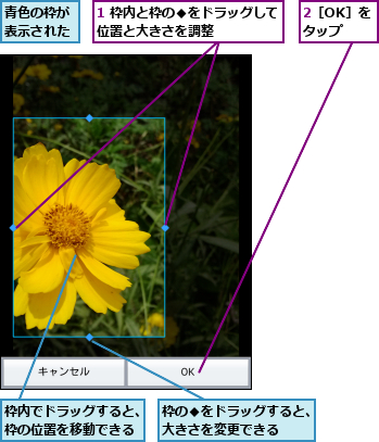 1 枠内と枠の◆をドラッグして位置と大きさを調整      ,2［OK］をタップ,枠の◆をドラッグすると、大きさを変更できる  ,枠内でドラッグすると、枠の位置を移動できる,青色の枠が表示された