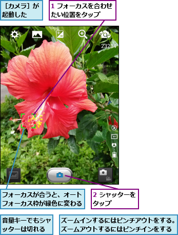 1 フォーカスを合わせたい位置をタップ  ,2 シャッターをタップ    ,ズームインするにはピンチアウトをする。ズームアウトするにはピンチインをする,フォーカスが合うと、オートフォーカス枠が緑色に変わる,音量キーでもシャッターは切れる,［カメラ］が起動した  