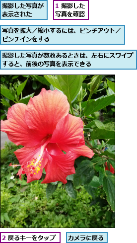 1 撮影した写真を確認,2 戻るキーをタップ,カメラに戻る,写真を拡大／縮小するには、ピンチアウト／ピンチインをする            ,撮影した写真が数枚あるときは、左右にスワイプすると、前後の写真を表示できる      ,撮影した写真が表示された  