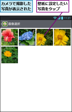 カメラで撮影した写真が表示された,壁紙に設定したい写真をタップ  