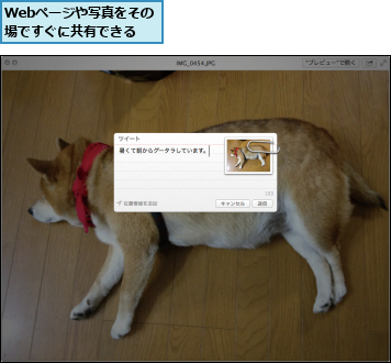 Webページや写真をその場ですぐに共有できる