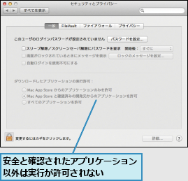 安全と確認されたアプリケーション以外は実行が許可されない　　　