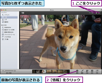 1 ここをクリック,2［情報］をクリック,写真が1枚ずつ表示された,前後の写真が表示される