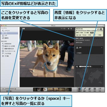 ここをクリックすると写真の名前を変更できる　　　　,再度［情報］をクリックすると非表示になる　　　　　　　,写真のExif情報などが表示された,［写真］をクリックするか［space］キーを押すと写真の一覧に戻る　　　