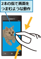 2本の指で画面を    つまむような動作    
