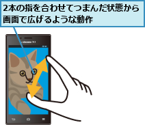 2本の指を合わせてつまんだ状態から画面で広げるような動作      