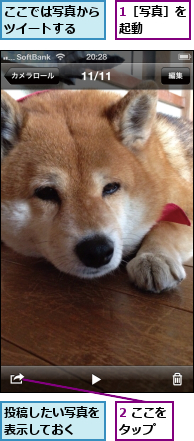 1［写真］を起動    ,2 ここをタップ  ,ここでは写真からツイートする  ,投稿したい写真を表示しておく  