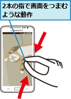 2本の指で画面をつまむような動作      