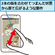 2本の指を合わせてつまんだ状態から面で広げるような動作  
