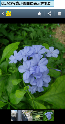 ほかの写真が画面に表示された