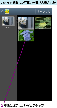 2 壁紙に設定したい写真をタップ,カメラで撮影した写真の一覧が表示された  