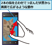 2本の指を合わせてつまんだ状態から画面で広げるような動作      