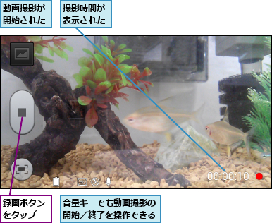 動画撮影が開始された,撮影時間が表示された,録画ボタンをタップ,音量キーでも動画撮影の開始／終了を操作できる