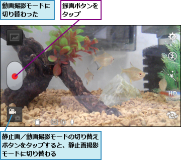動画撮影モードに切り替わった  ,録画ボタンをタップ  ,静止画／動画撮影モードの切り替えボタンをタップすると、静止画撮影モードに切り替わる