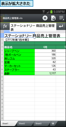表示が拡大された