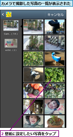 2 壁紙に設定したい写真をタップ    ,カメラで撮影した写真の一覧が表示された  